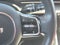 2024 Kia Carnival SX
