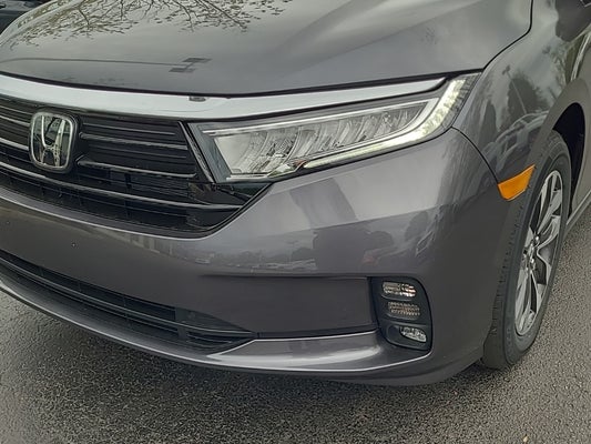 2024 Honda Odyssey EX-L in Indianapolis, IN - Andy Mohr Automotive