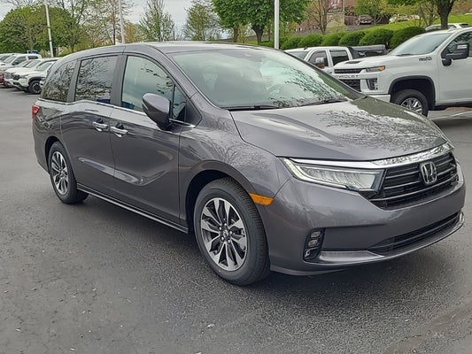 2024 Honda Odyssey EX-L in Indianapolis, IN - Andy Mohr Automotive