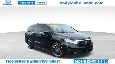 2024 Honda Odyssey Elite
