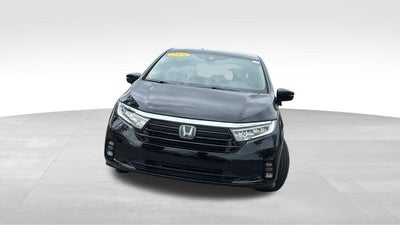 2024 Honda Odyssey Elite