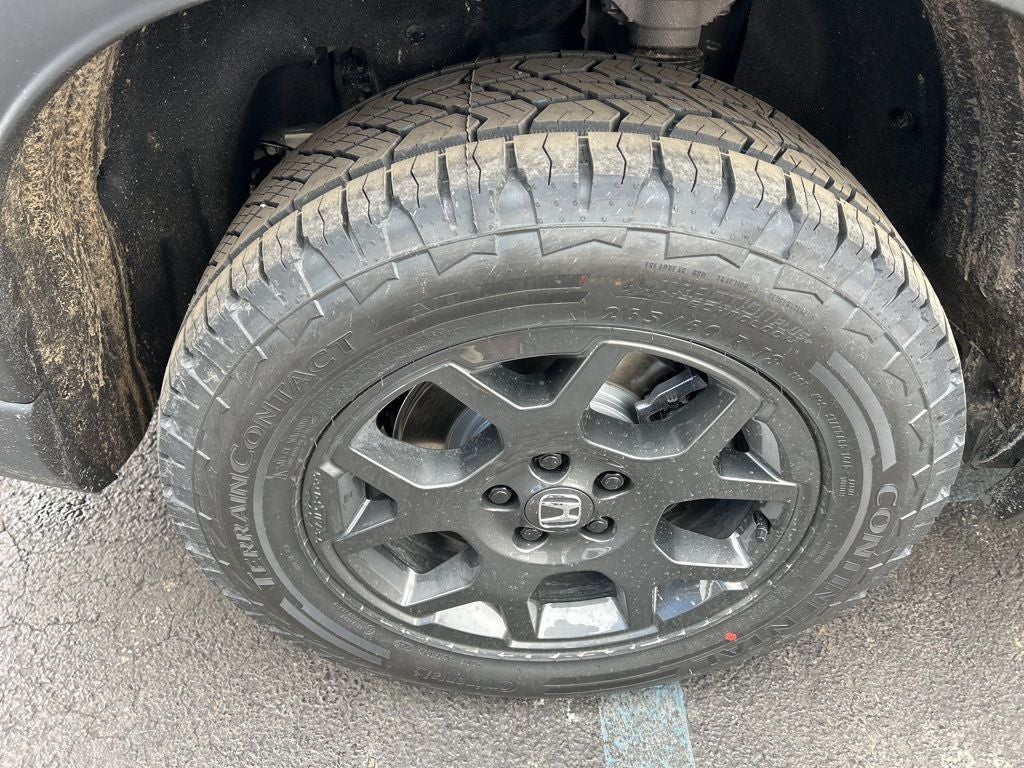 2026 Honda Pilot TrailSport