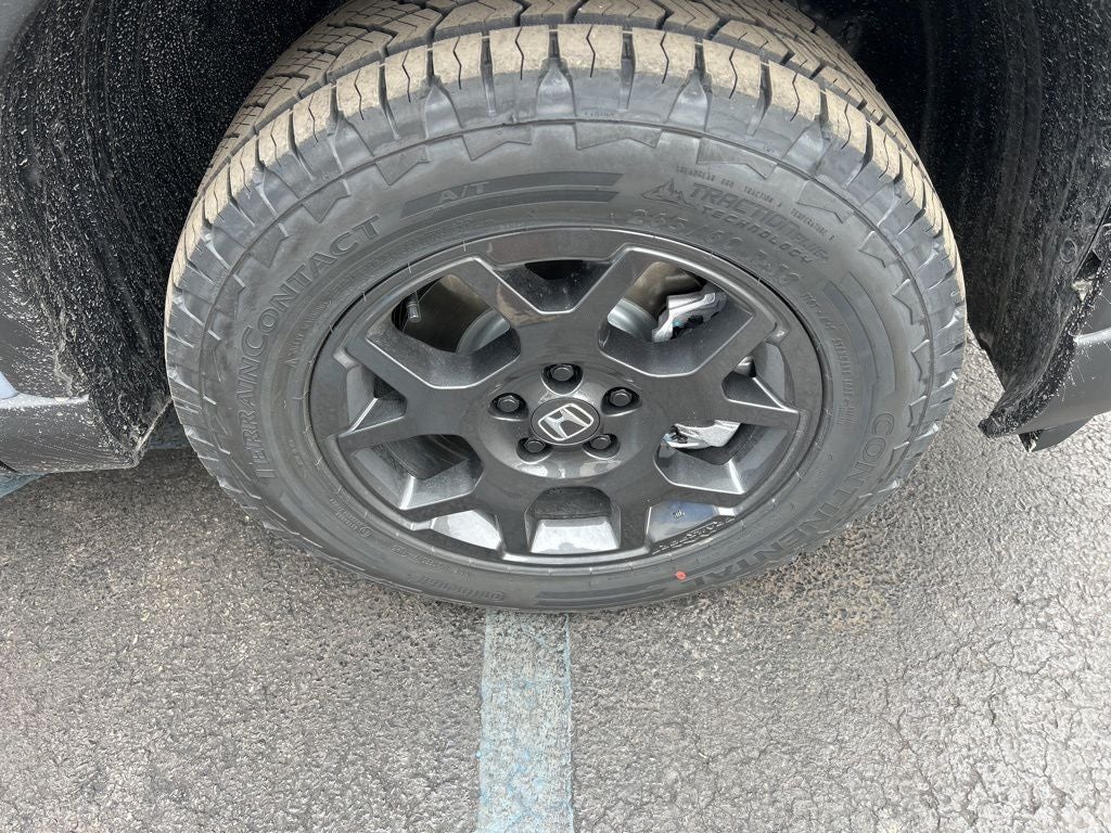 2026 Honda Pilot TrailSport