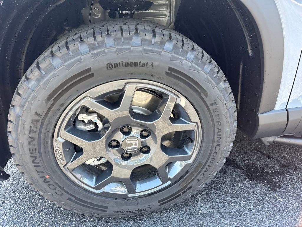 2026 Honda Pilot TrailSport