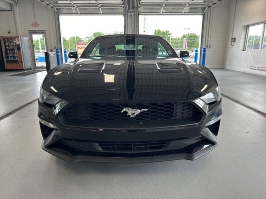 2021 Ford Mustang EcoBoost Premium in Indianapolis, IN - Andy Mohr Automotive