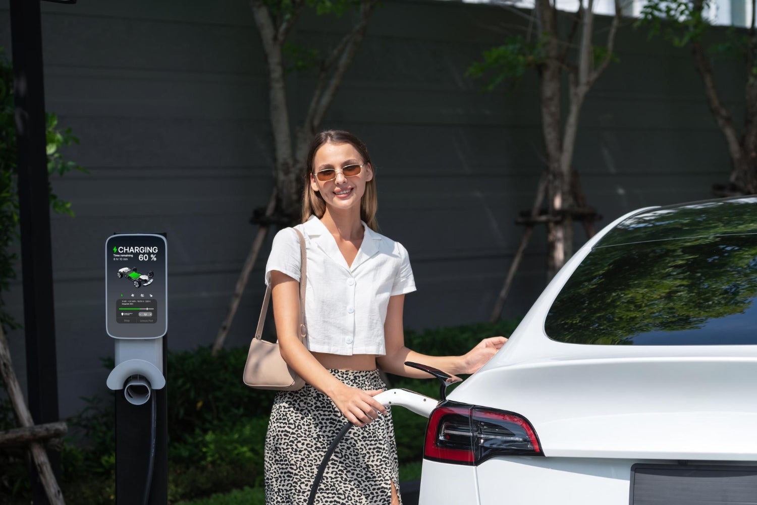 Electric vs Hybrid Vehicles